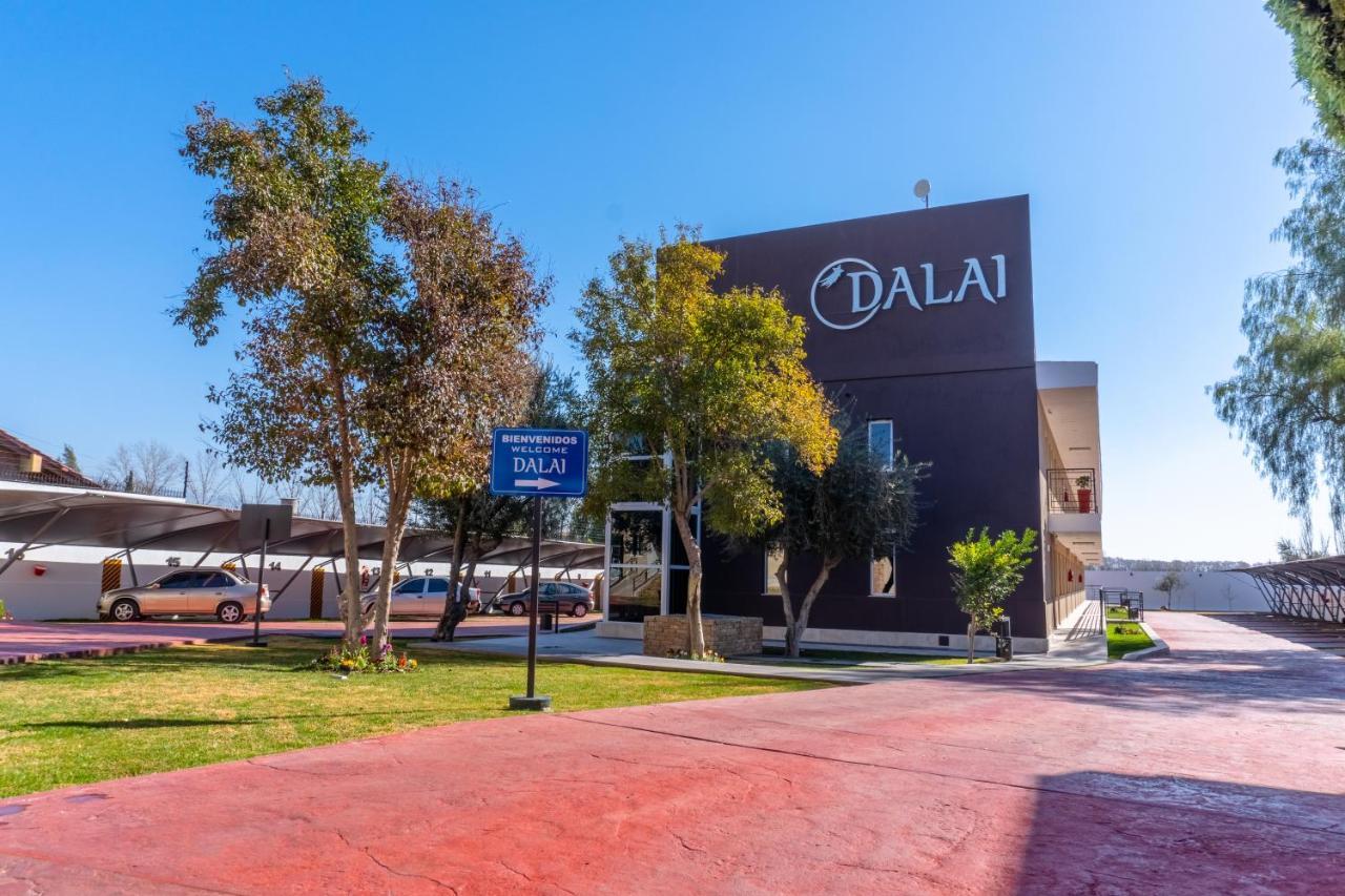 Hotel Dalai Cuadro Benegas